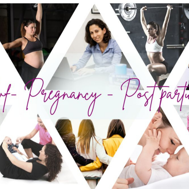 מהלכה למעשה - הפיכת הידע המקצועי לעסק מתפקד